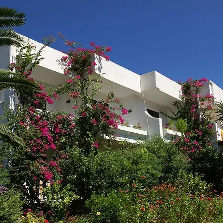 Tina Flora Hotell Kolymbia