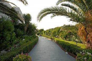 Tina Flora 콜림비아