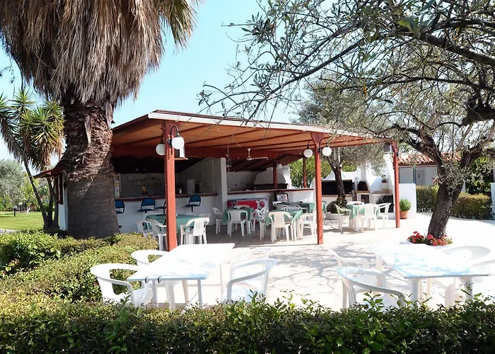 Tina Flora 콜림비아